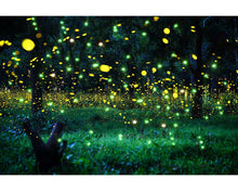 Load image into Gallery viewer, Light Spots Overlays