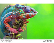 Load image into Gallery viewer, Pets Lightroom presets collection