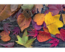 Load image into Gallery viewer, 558+ Photoshop Actions Bundle
