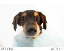 Load image into Gallery viewer, Animals Photoshop Actions
