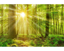 Load image into Gallery viewer, Light Rays Overlays
