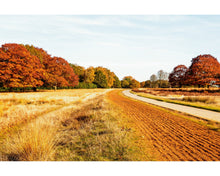 Load image into Gallery viewer, Nature  Photoshop Actions
