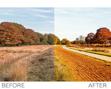 Load image into Gallery viewer, Nature  Photoshop Actions
