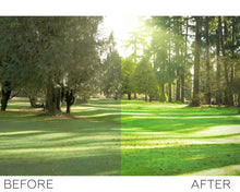 Load image into Gallery viewer, Nature  Photoshop Actions
